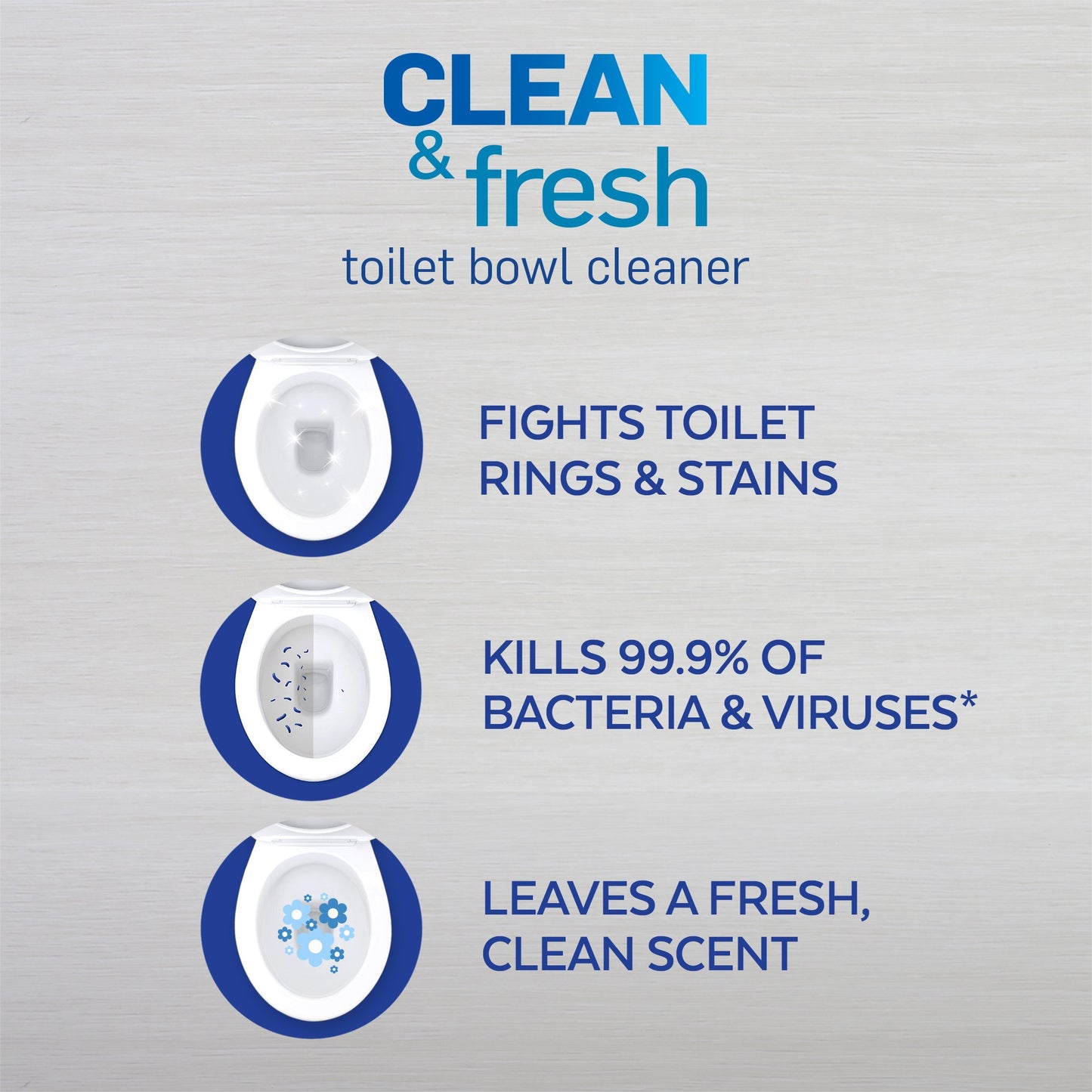 Lysol -- 24 oz. Clean and Fresh Country Toilet Bowl Cleaner (2-Pack)