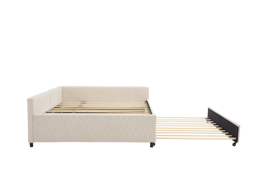 23093438