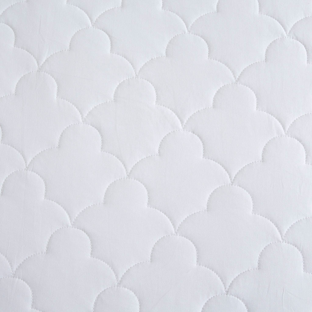 23093895