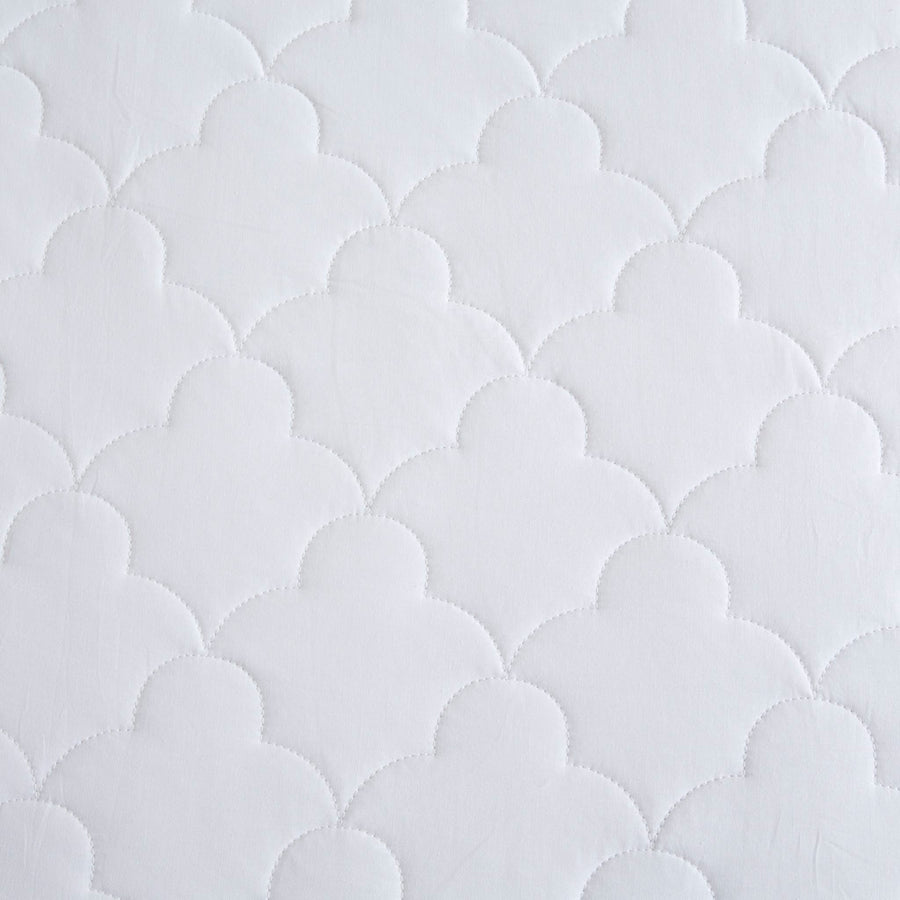 23093895