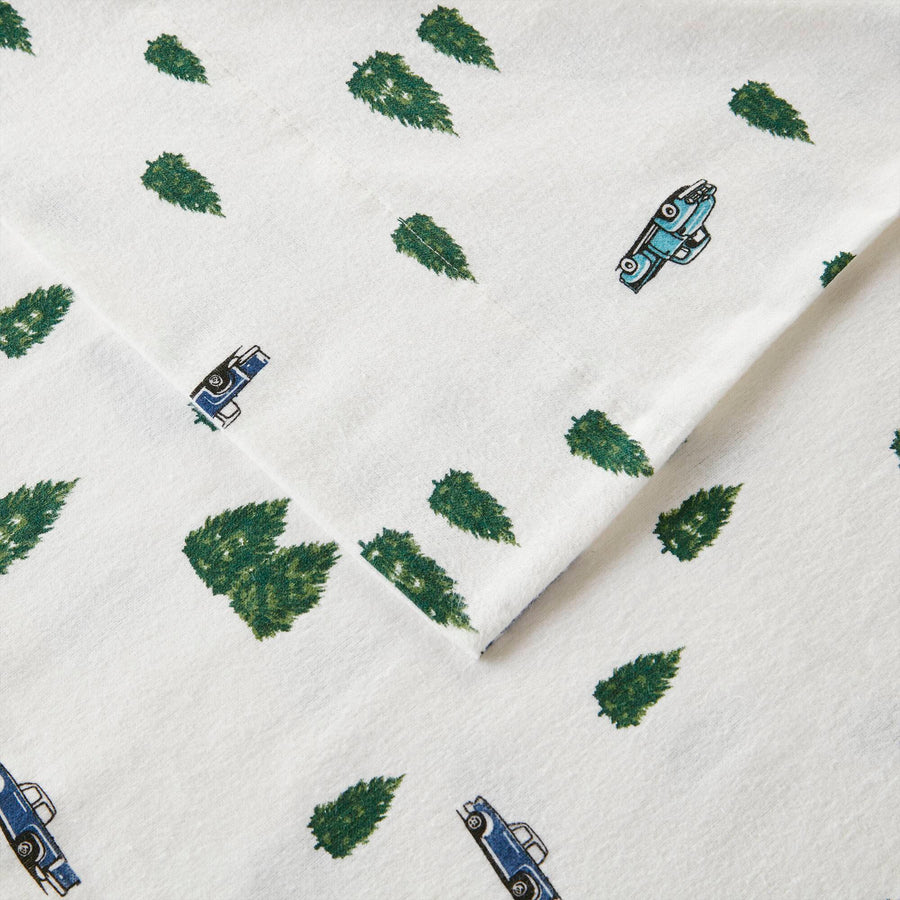 23093772