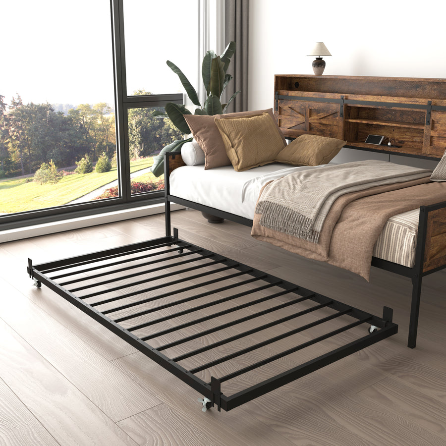 23093506